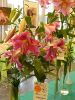 Foto: Dr. Peter Müller